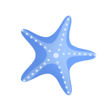 star_fish